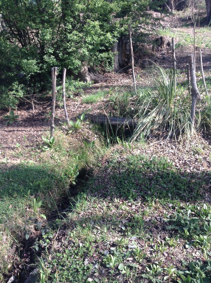 Mil Piedras Cabins Potrerillos Zewnętrze zdjęcie